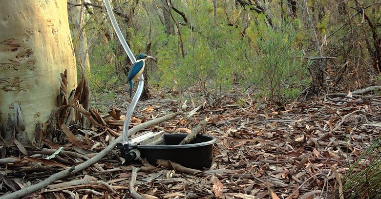 Water Stations for Wildlife
