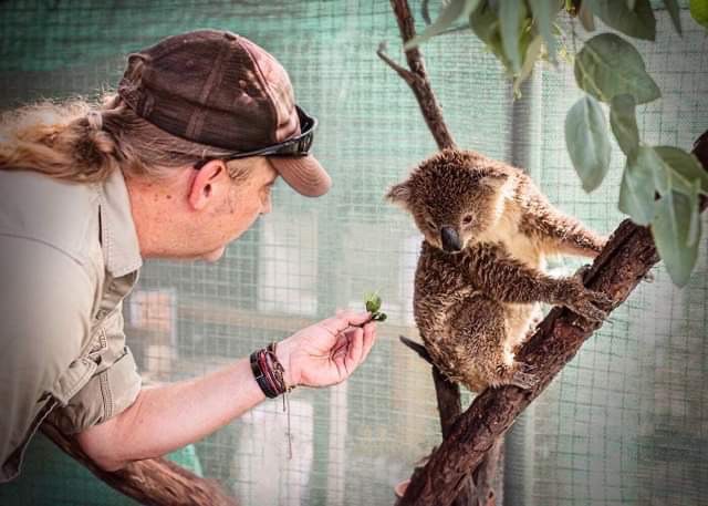 Why become a wildlife carer?