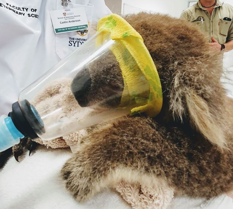 Supporting Emergency Vet Care