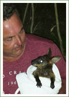 Man resuscitates wallaby