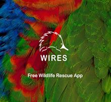 wires-rescue-app-reaches-10-000-downloads