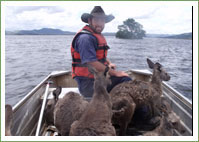 News - Flood Rescue 