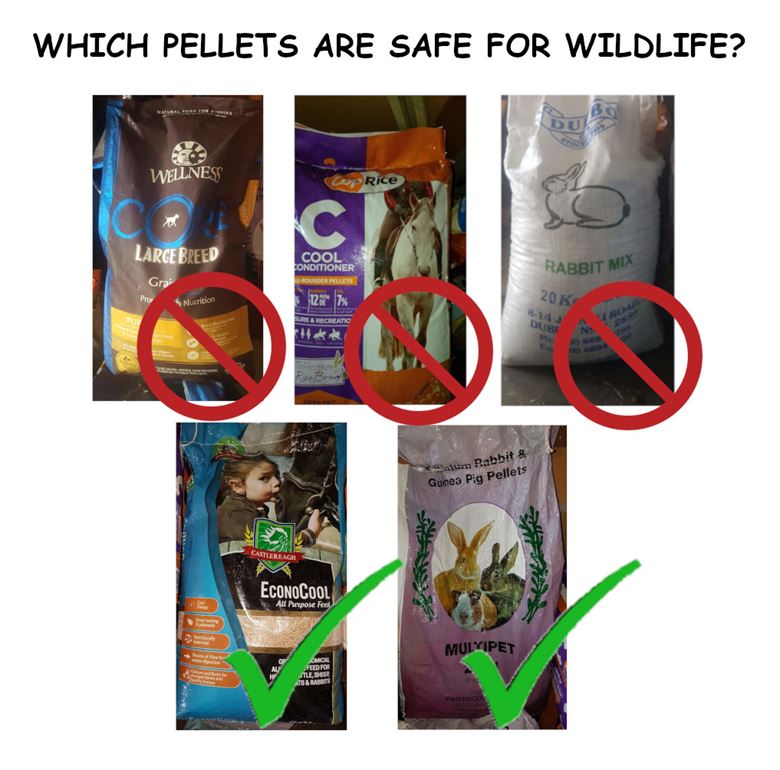 Emergency Food, Water and Shelter for Wildlife