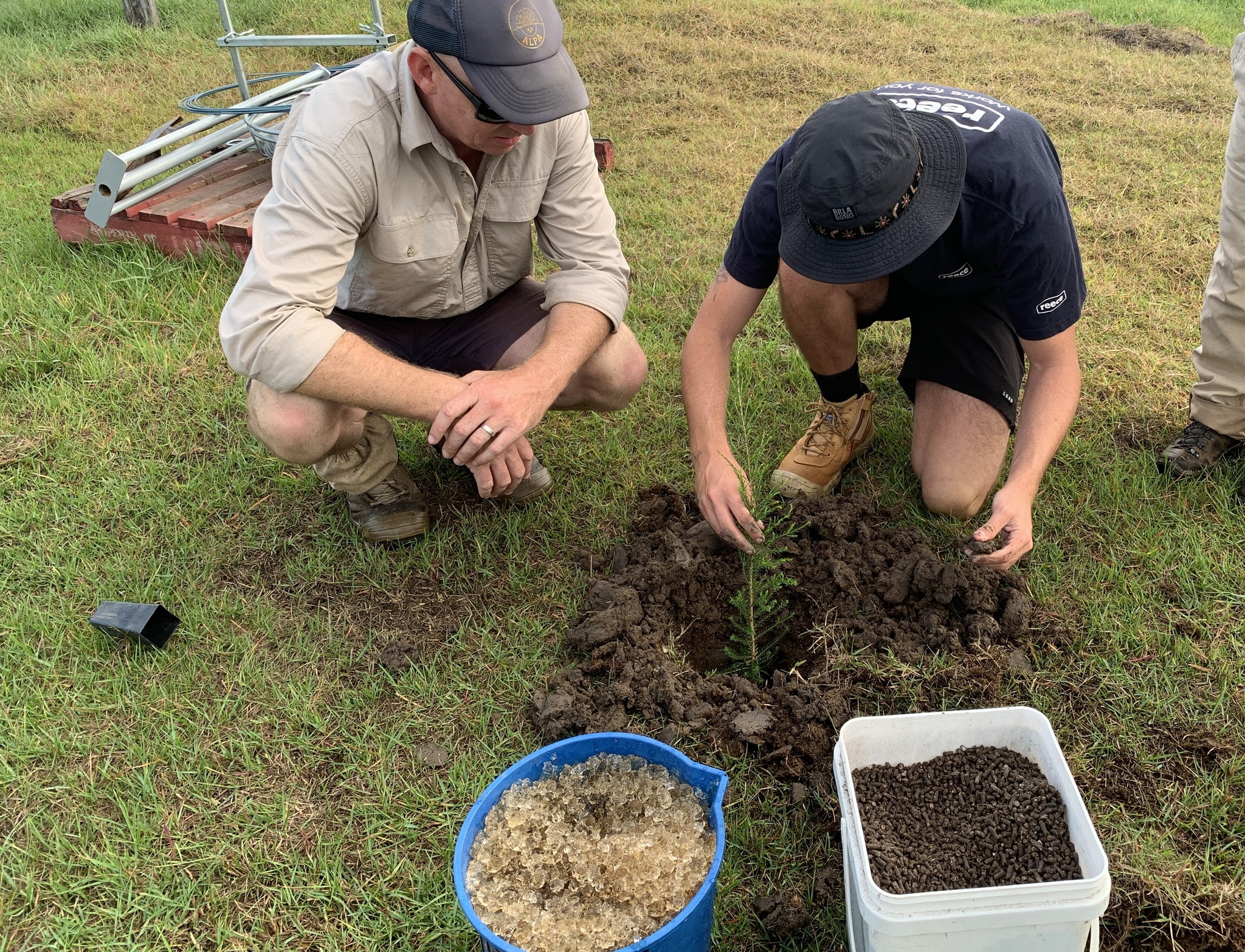 WIRES Contributes Significant Funds to Great Eastern Ranges Project