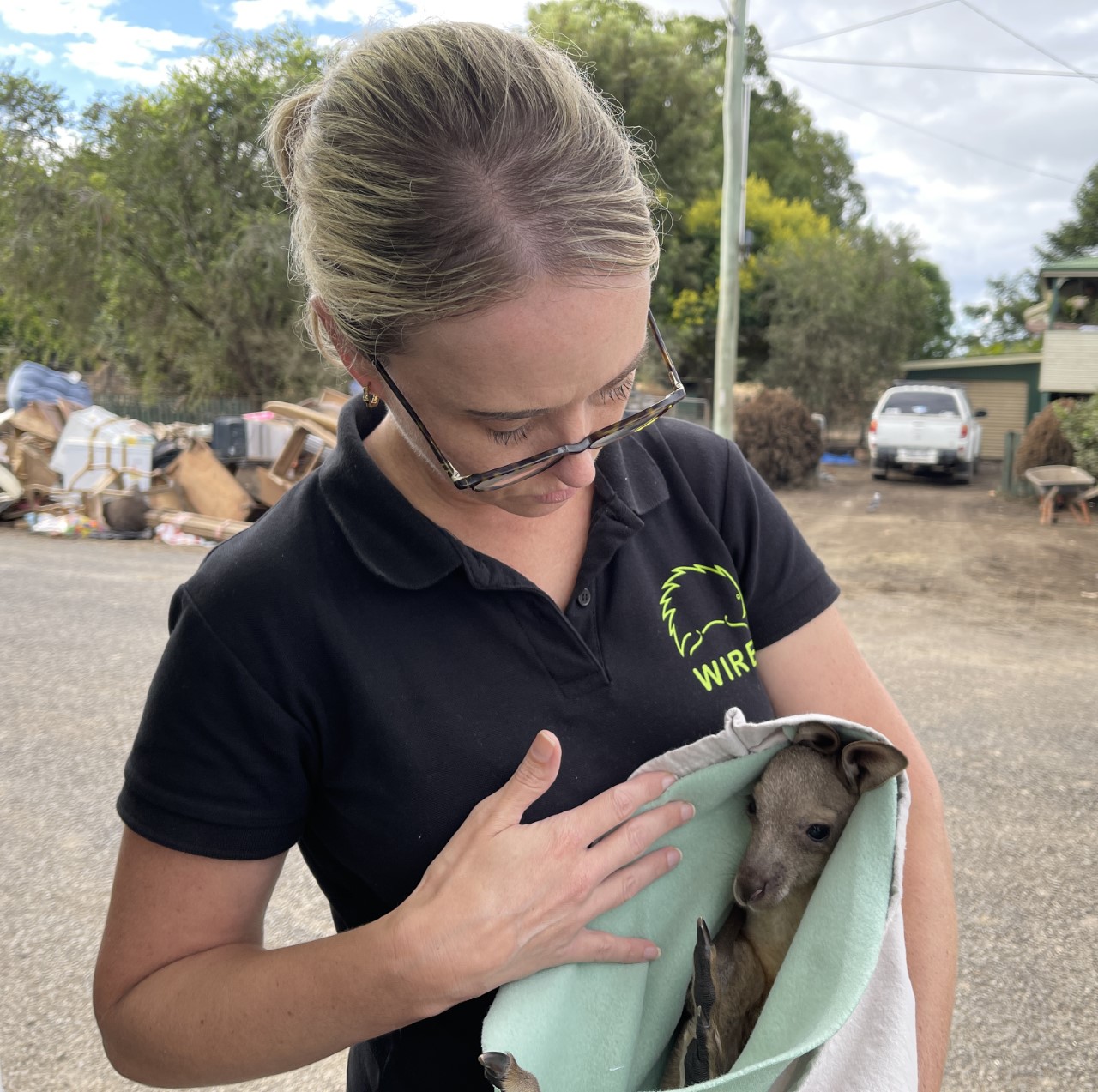 A 24/7 Emergency Rescue Service dedicated to wildlife - thanks to you. 