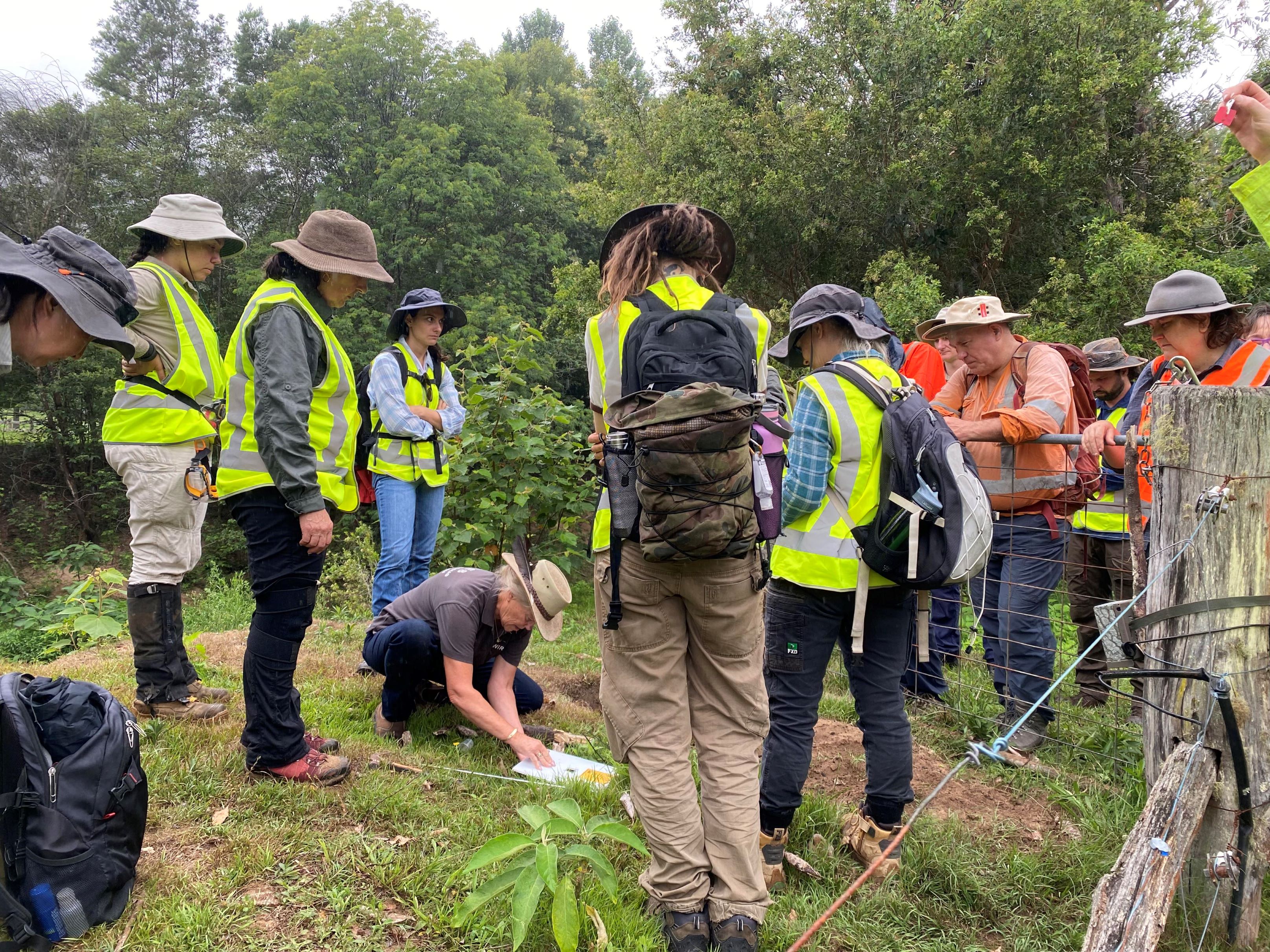 18 months on - the fight to protect wombats from Mange grows