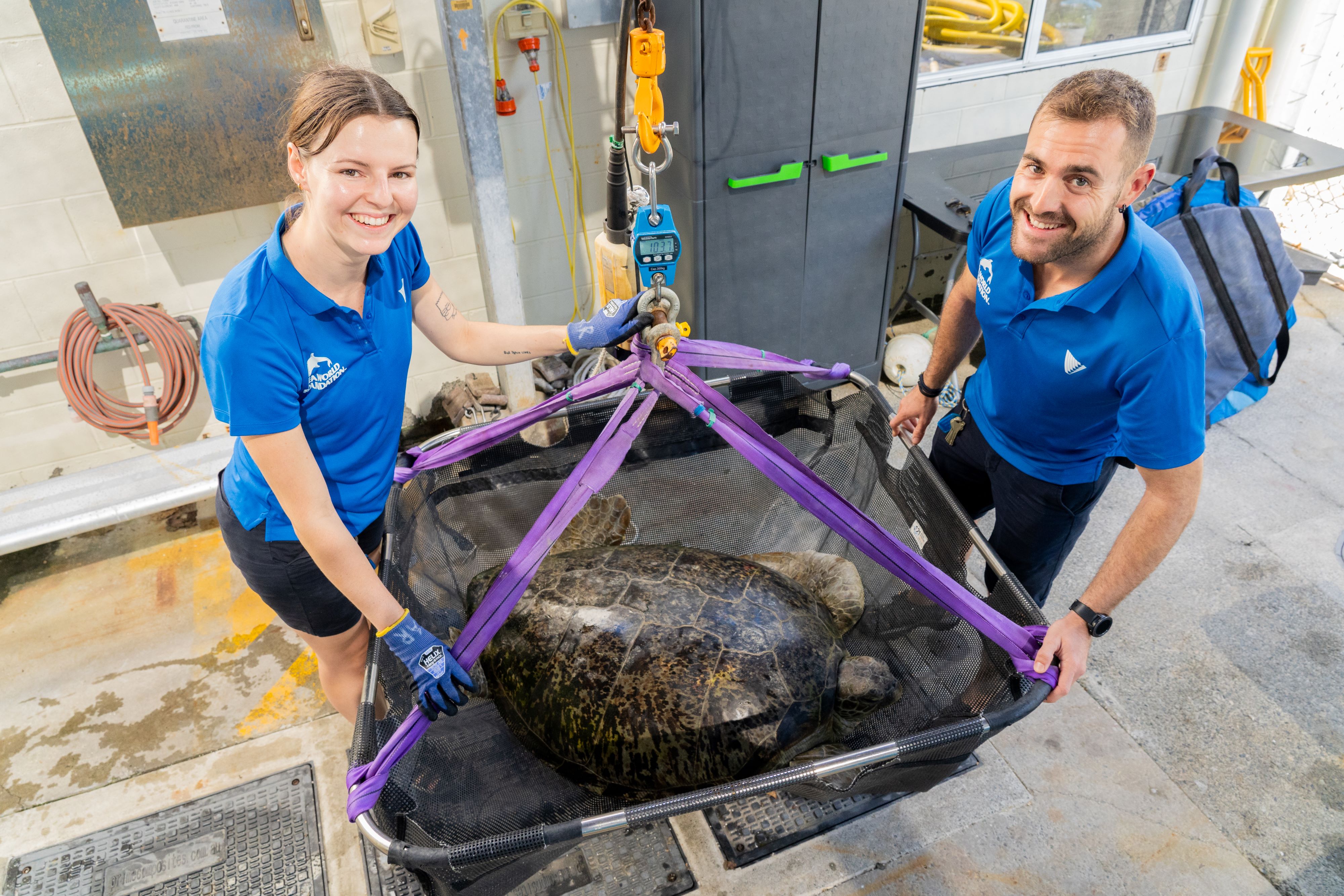 WIRES grant provides life-changing support for marine conservation