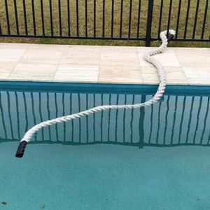 Wildlife and Pool Safety