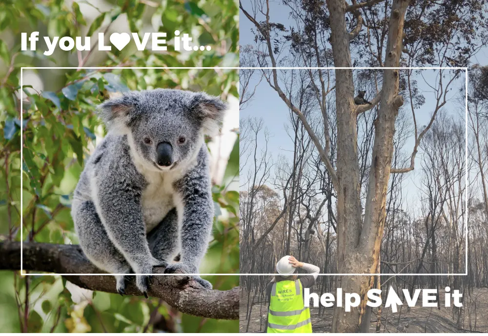 Support Stronger Nature Laws