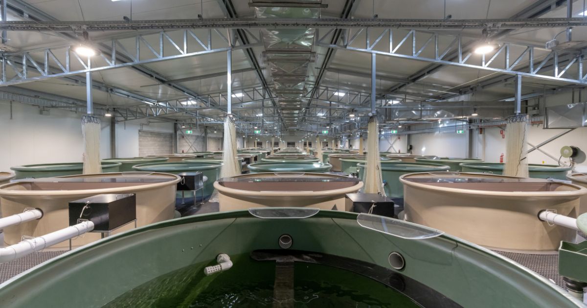 WIRES and Taronga Team Up To Deliver World-Leading Platypus Facilities