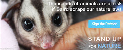 The Future of NSW Wildlife is Under Threat