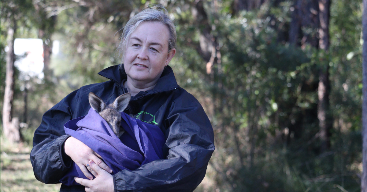 WIRES Vet Dr. Tania Bishop's Wildlife Journey