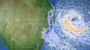WIRES Emergency Response in the wake of ex-tropical cyclone Alfred