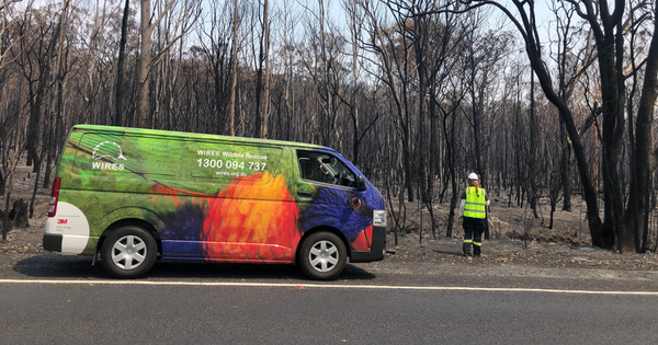 Canberra Excludes Wildlife Rescuers from Disaster Preparedness: A Call for Action
