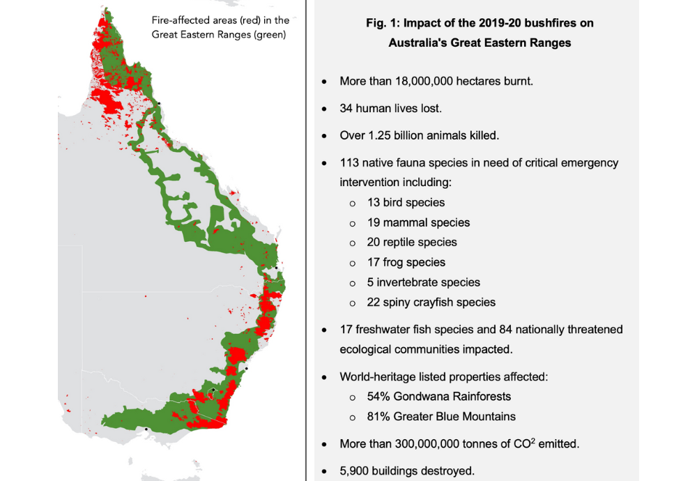 Restoring Wildlife Corridors