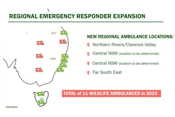 Our Wildlife Ambulance fleet is expanding - thanks to your support!