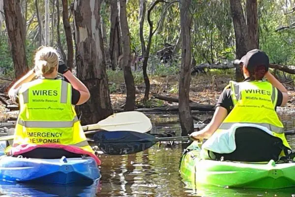 WIRES Emergency Flood Response is saving lives across Australia