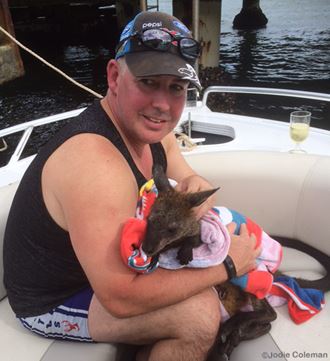 wallaby-rescued-300-metres-from-shore-off-patonga