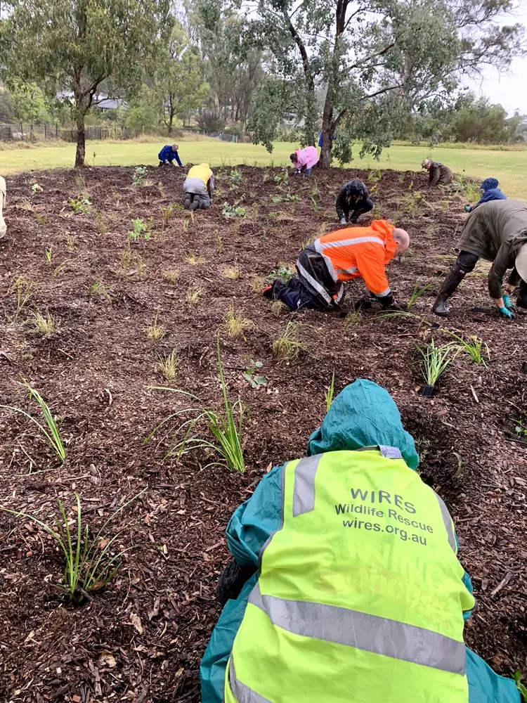Planting for the future
