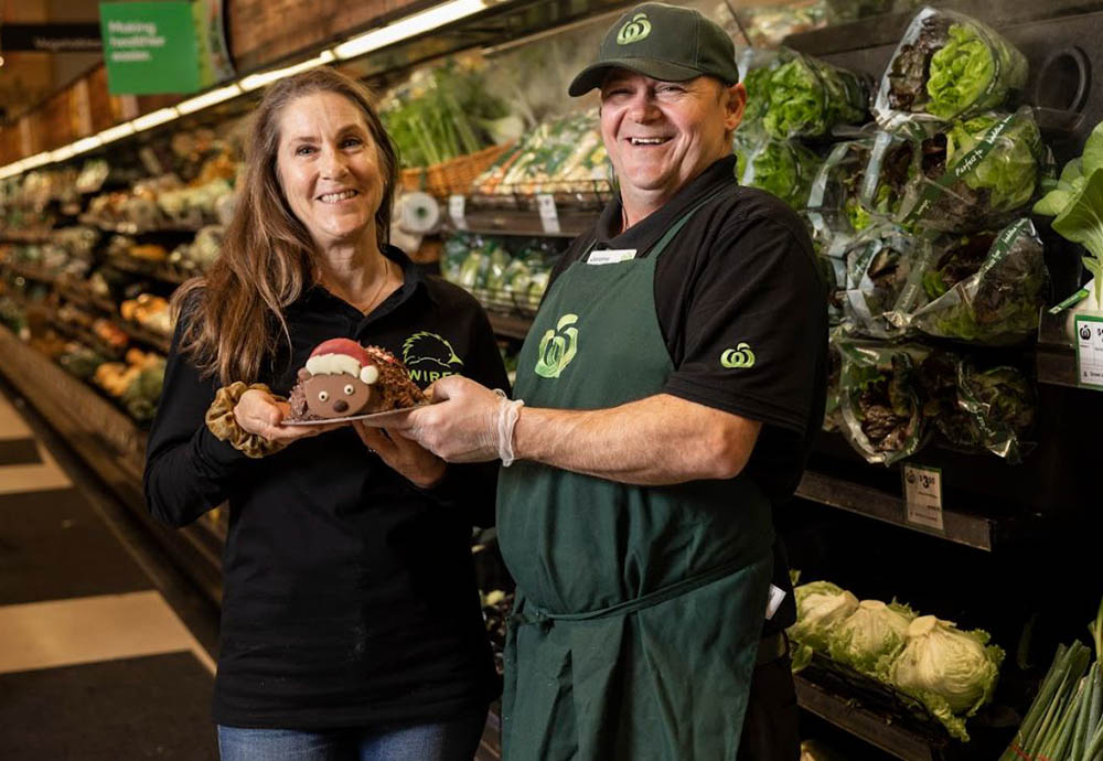 Limited edition wombat cake helps to support wildlife