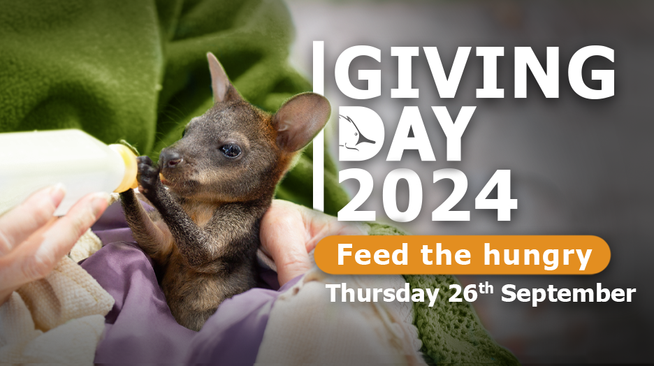 WIRES Giving Day raises funds to feed the influx of Spring and Summer rescues  