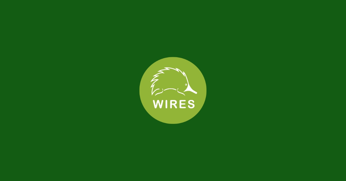 Statement from WIRES regarding recent animal cruelty case