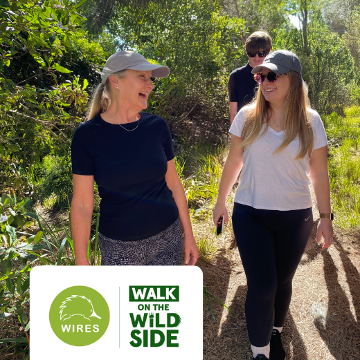 Walk on the Wild Side this April