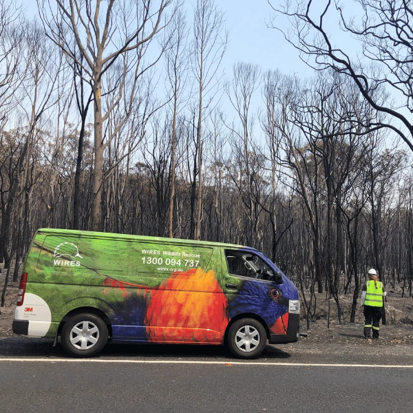 Woolworths and WIRES