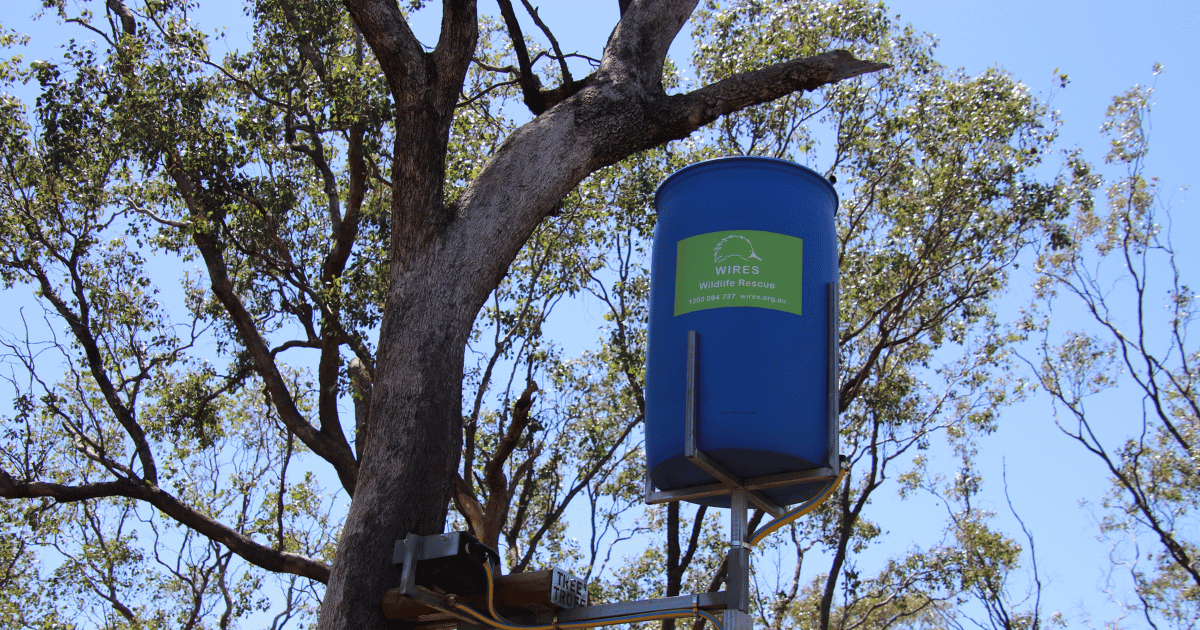 WATER FOR WILDLIFE