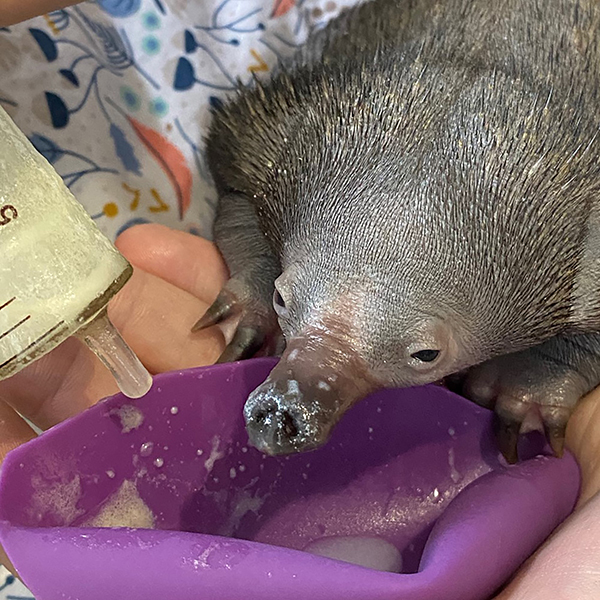 National Grants Program