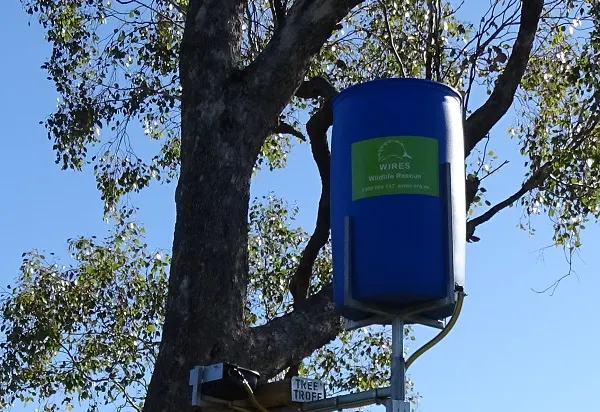 WATER FOR WILDLIFE