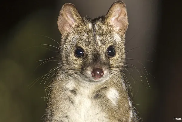 National Grants Programs