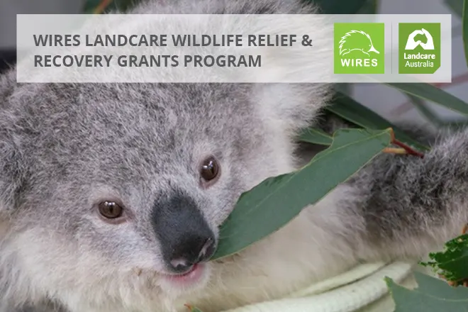 WIRES and Landcare Alliance