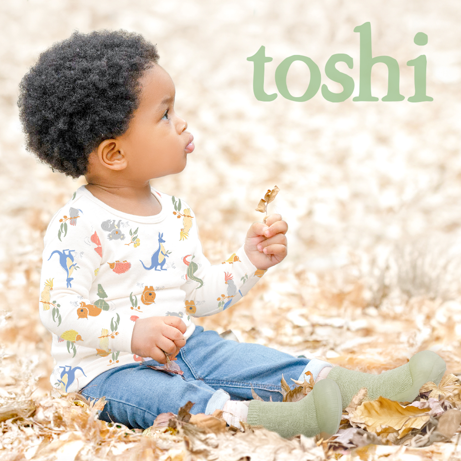Toshi