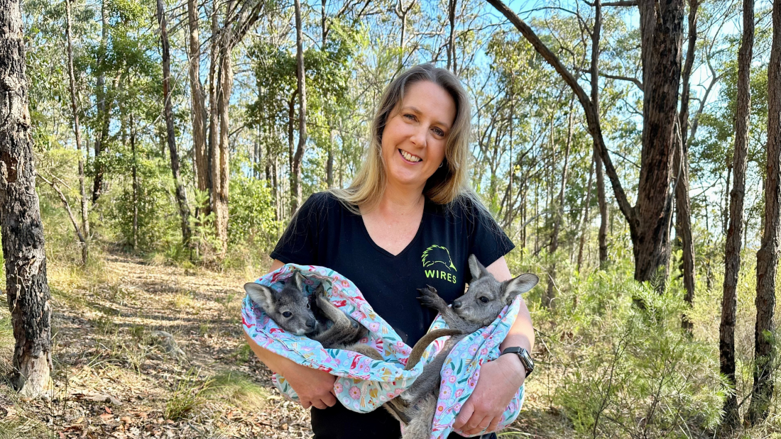 Day in the life of a WIRES carer