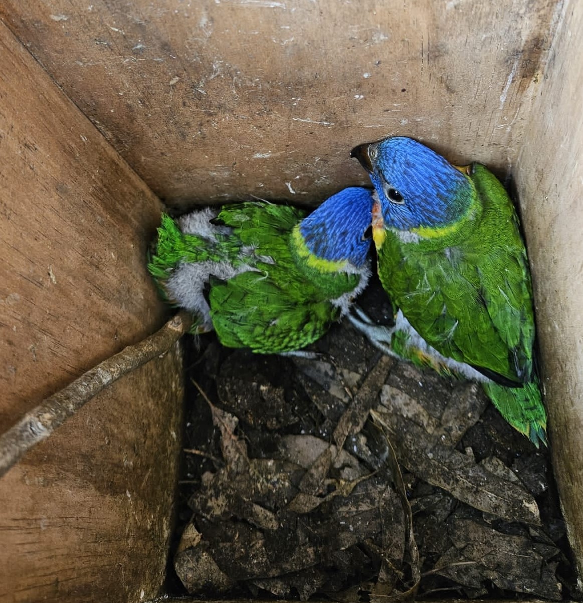 A safe haven for displaced wildlife