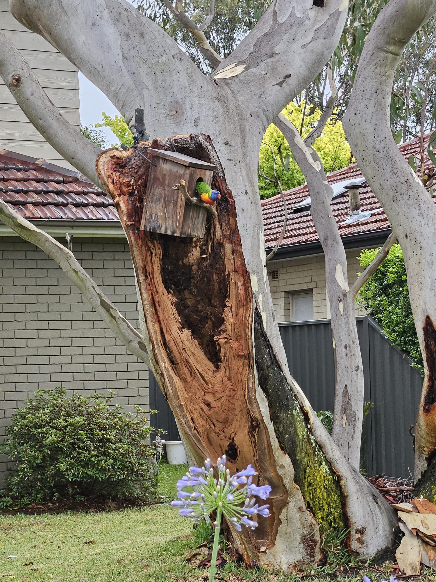 A safe haven for displaced wildlife