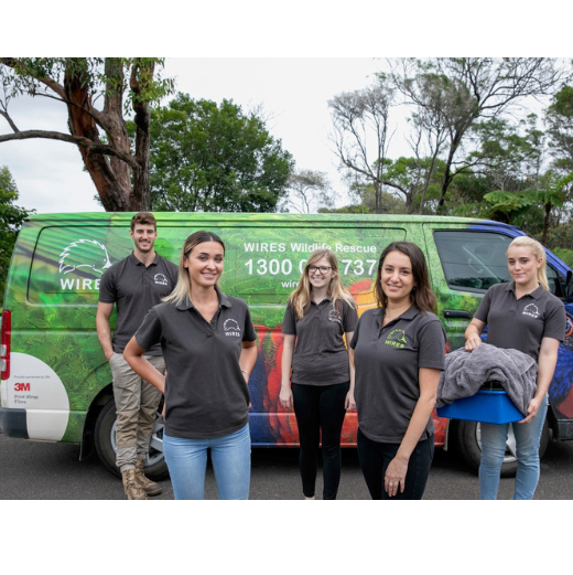Our Wildlife Ambulance fleet is growing!