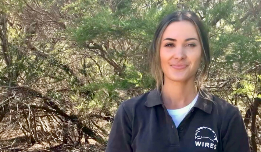 Interview with WIRES Training and Development