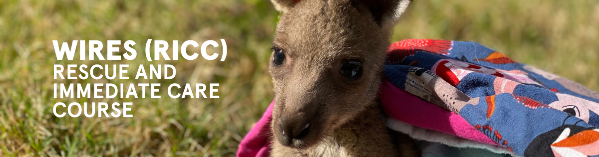 Rescue and Immediate Care Course