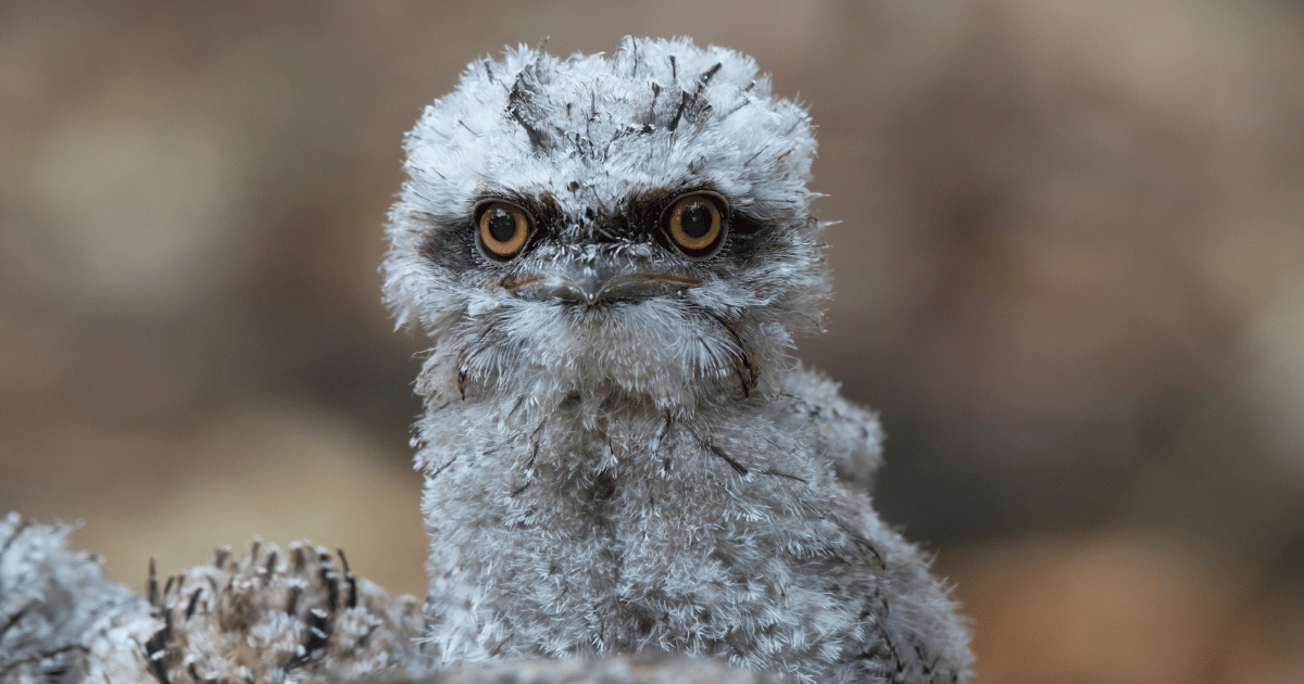 Free Community Course