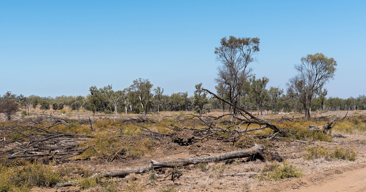 Habitat Loss: A Growing Threat to Wildlife