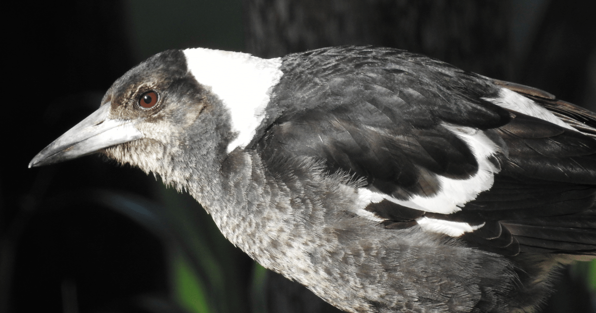 Let nature feed itself