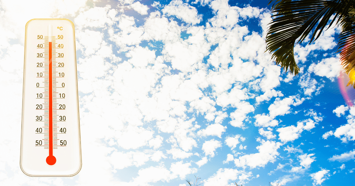 How to Help Wildlife During Extreme Heat