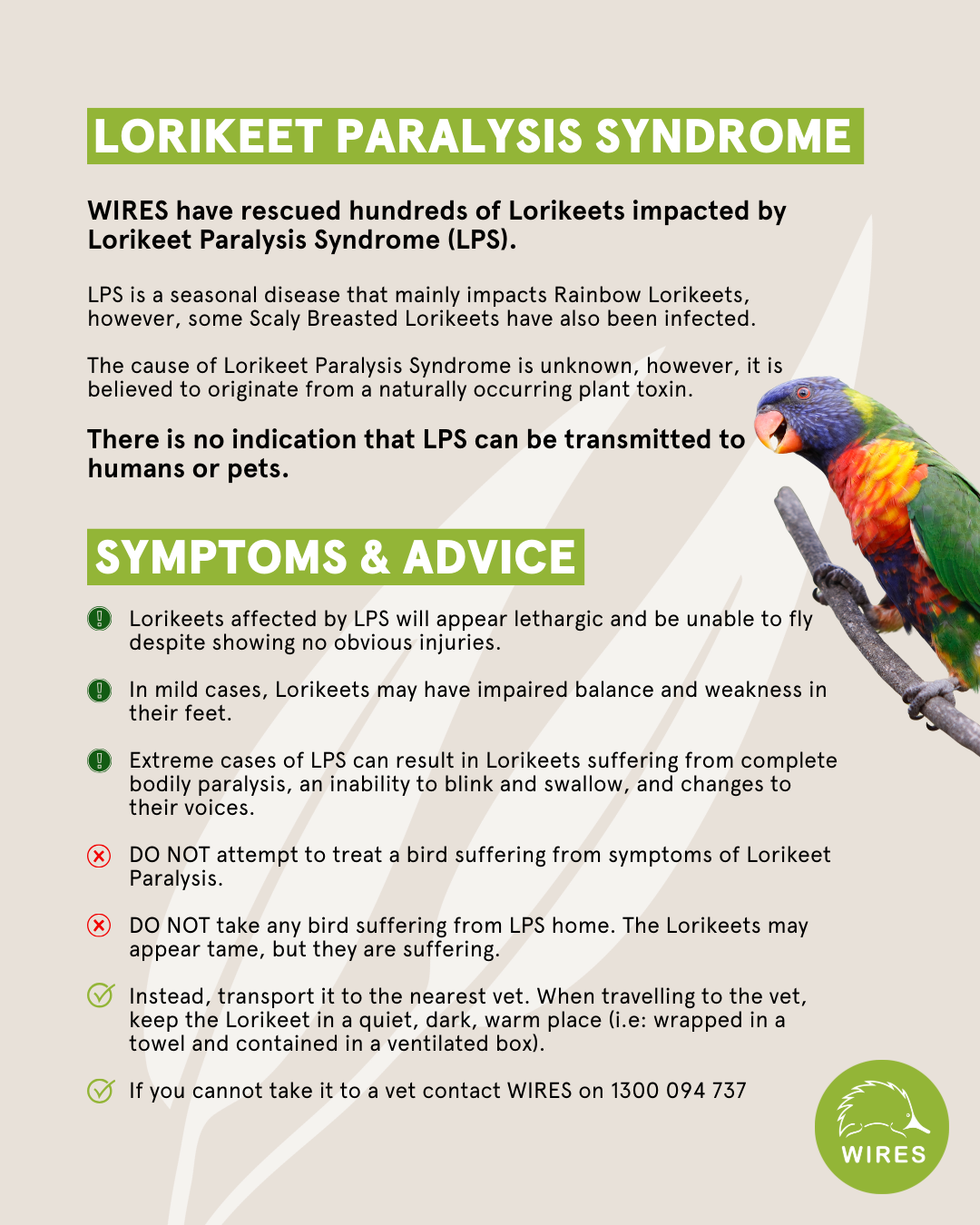 Lorikeet Paralysis Syndrome