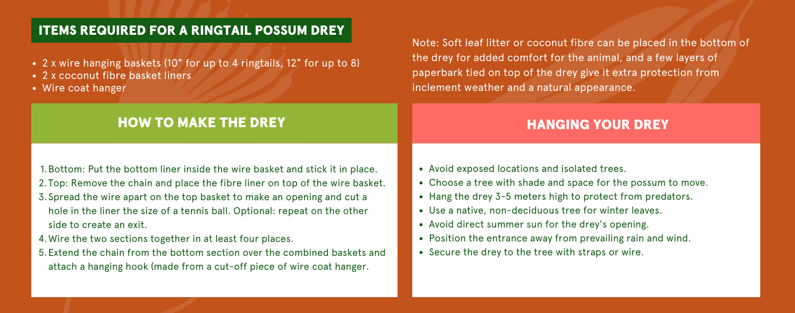 Caring for Possums