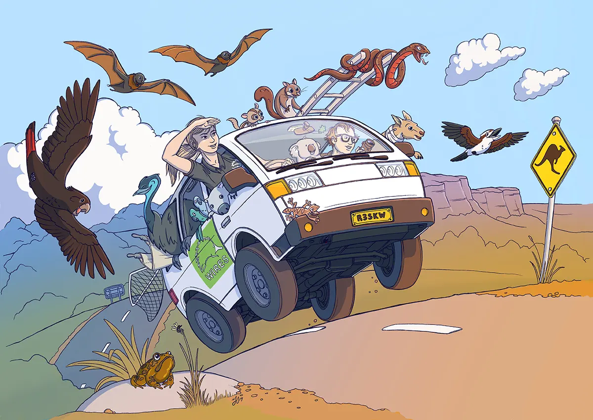 Colouring in - WIRES Rescue