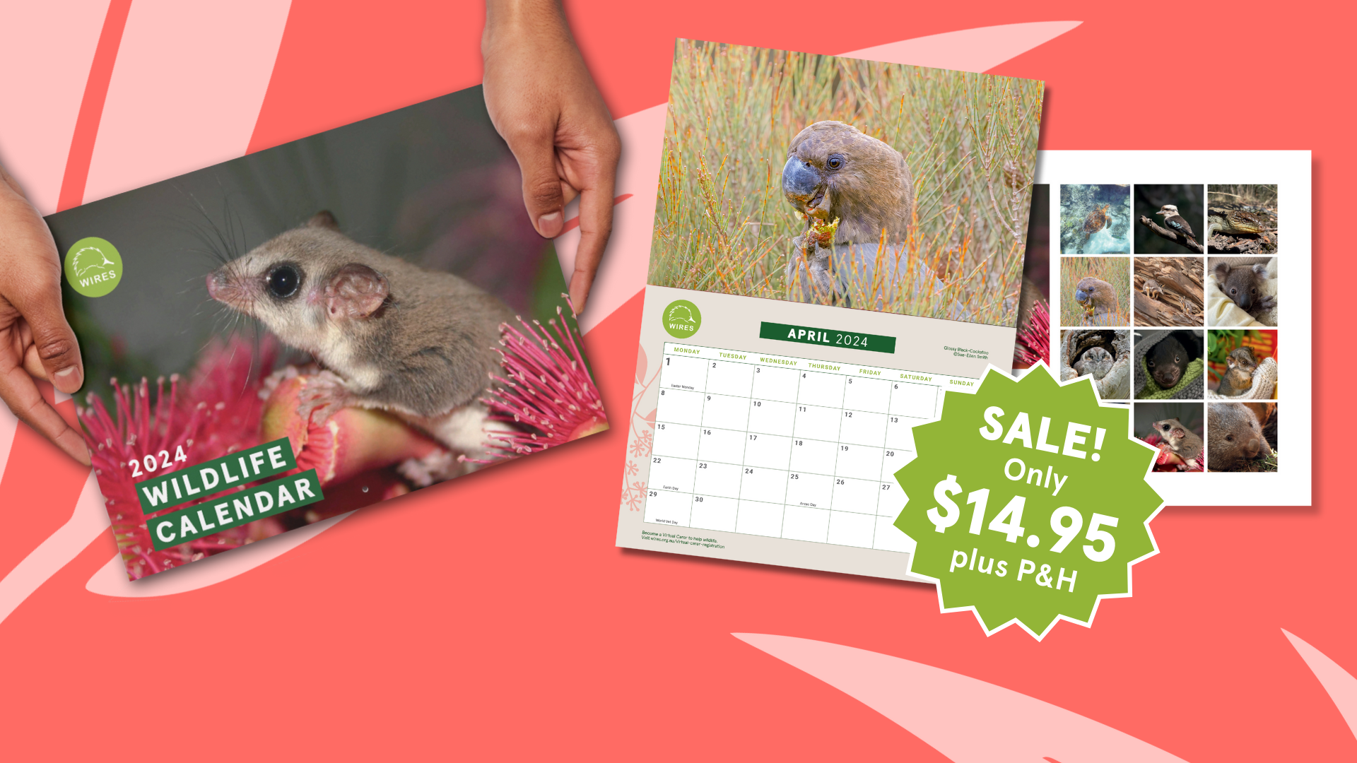 2024 Wildlife Calendar on Sale