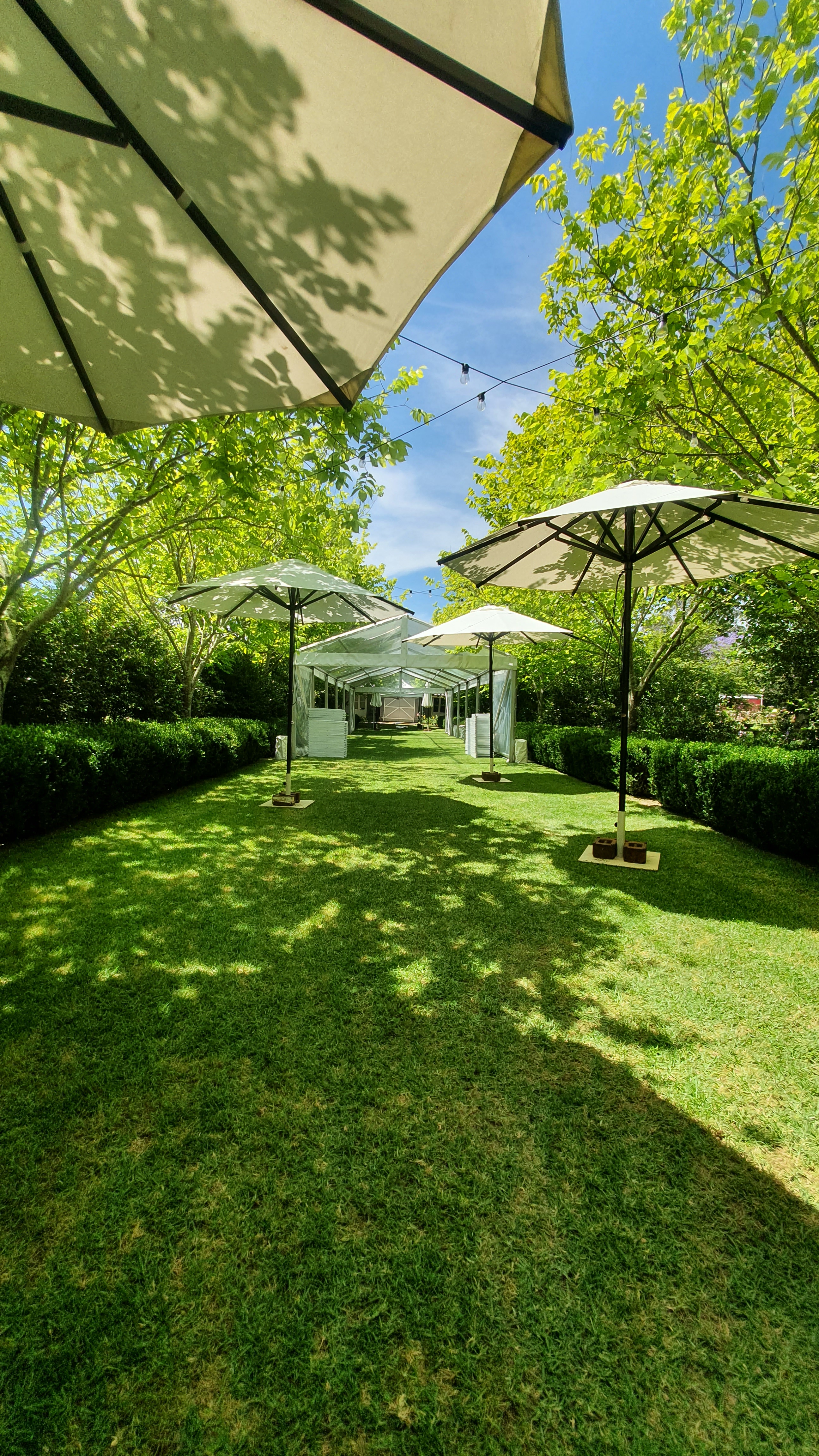 Walkers Hire Market Umbrellas