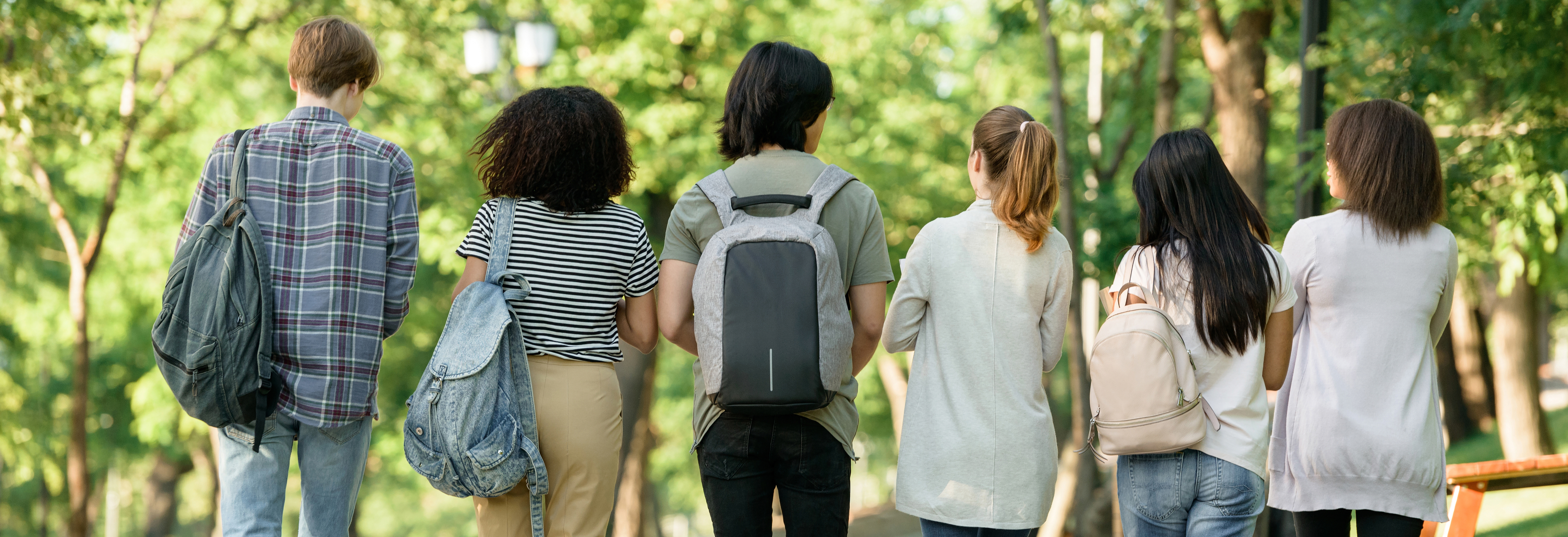 Students walking together through trees, backs to the viewer
